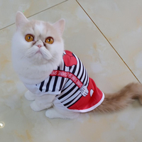 Słodkie zwierzątko kamizelka koszula lato kostium kota dla kotów kotek Kedi Mascotas odzież Sphynx strój dla szczeniaczka ropa para gatos vetement czat 6